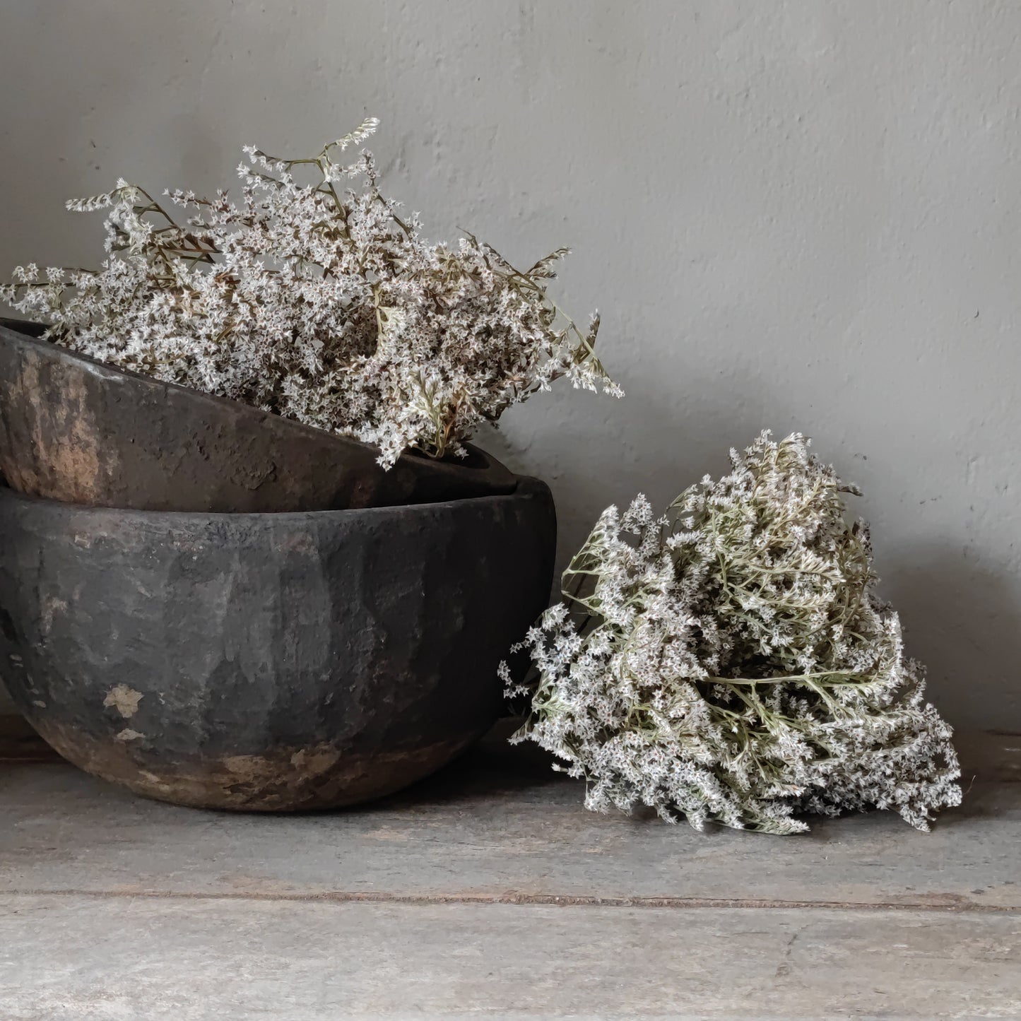 Dried forest chuvisco