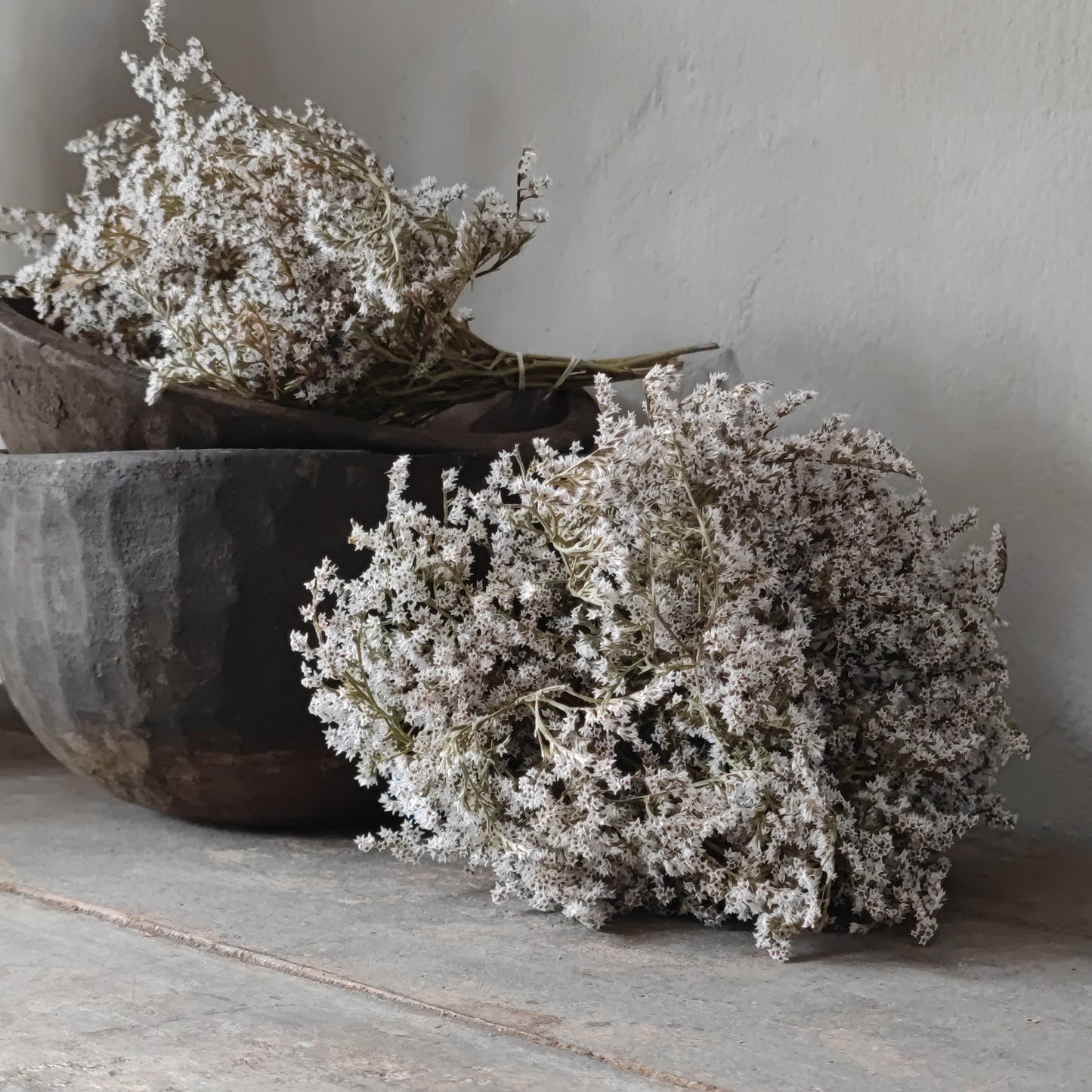 Dried forest chuvisco