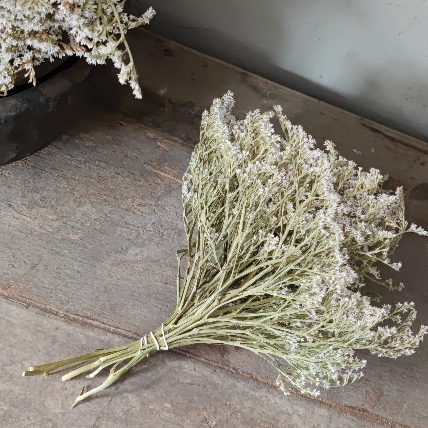 Dried forest chuvisco