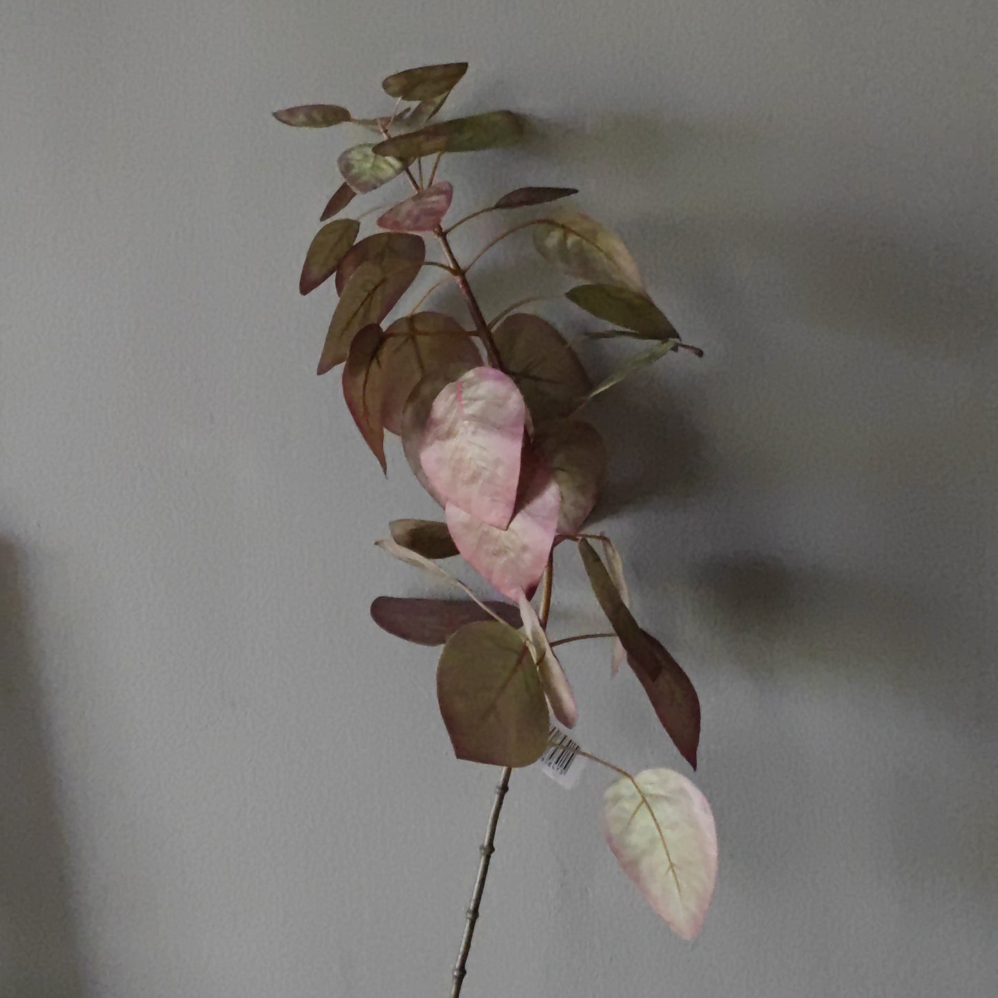 Zijde tak smoke leaf