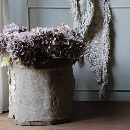Seidenhortensie 40 cm