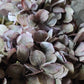 Silk hydrangea 40 cm