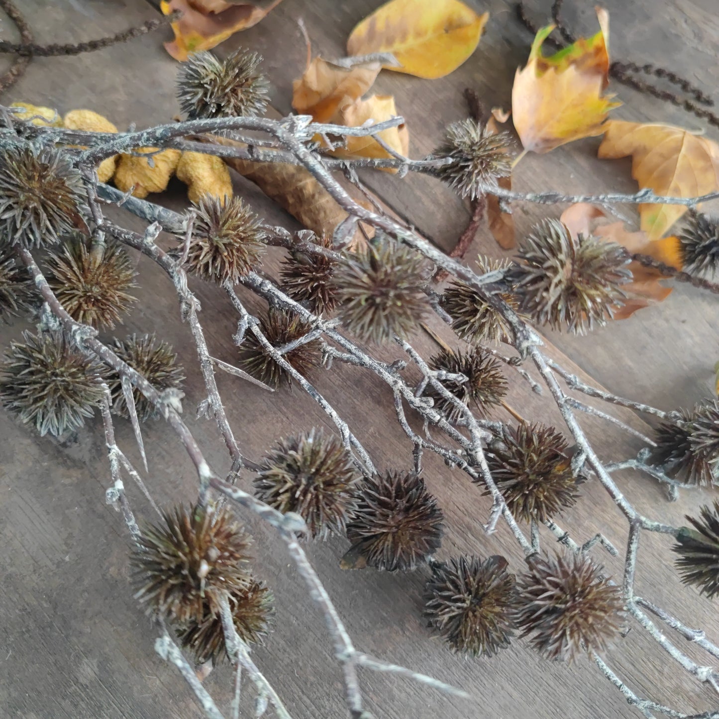 Zijde Autumn pompom twijg