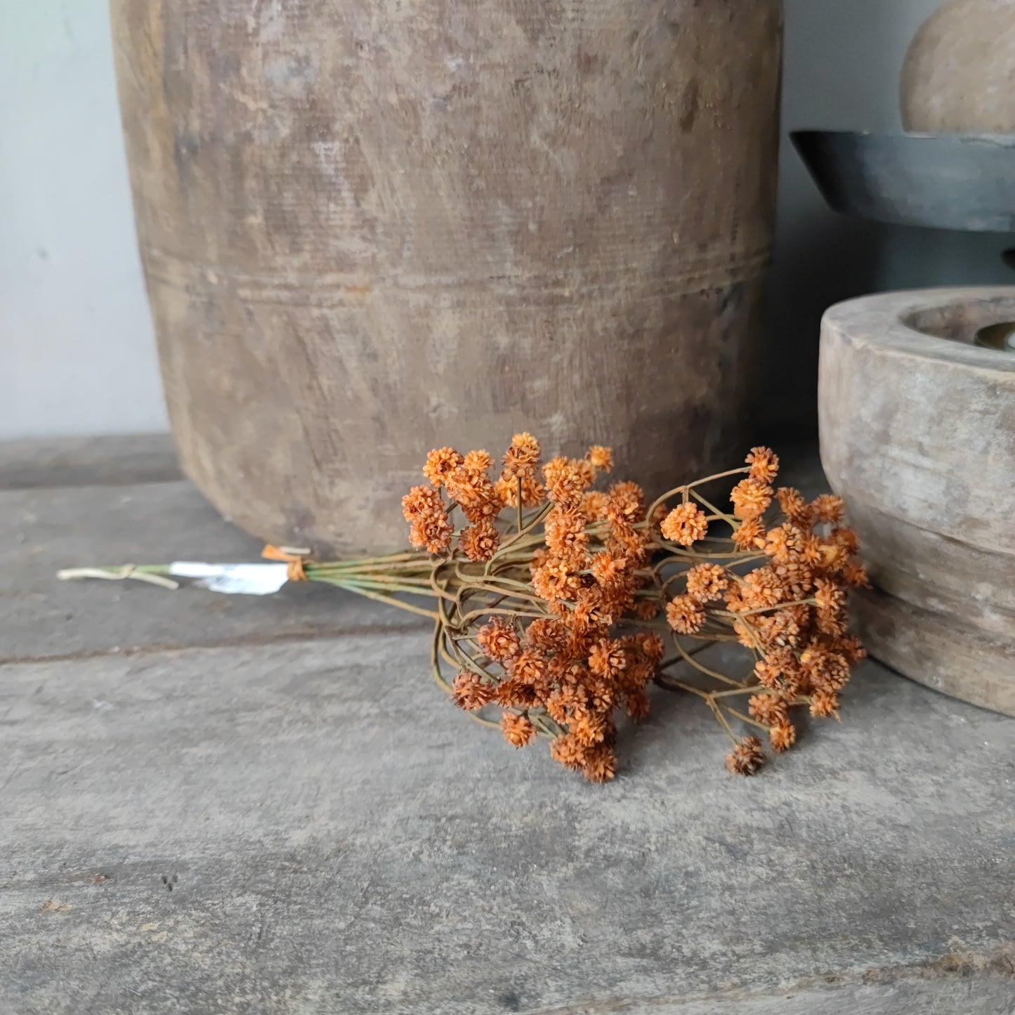 Zijde gypsophillia