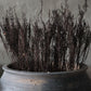 Dried forest Solidago brown